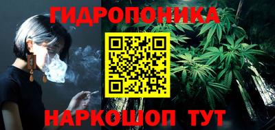 a pvp Пушкино