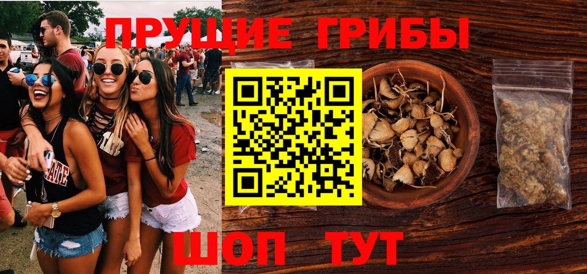 Ангарск  Псилоцибиновые грибы мицелий  Вход с VPN 